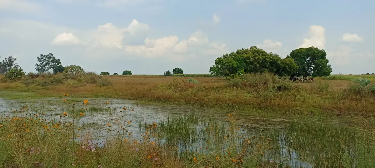 Terreno en venta en Santa Ana Matlavat Centro, Aculco — foto 1 de 17