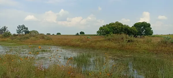 Terreno en venta en Santa Ana Matlavat Centro, Aculco, México
