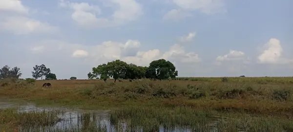 Terreno en venta en Santa Ana Matlavat Centro, Aculco — foto 3 de 17