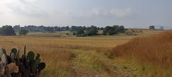 Terreno en venta en Santa Ana Matlavat Centro, Aculco — foto 2 de 16
