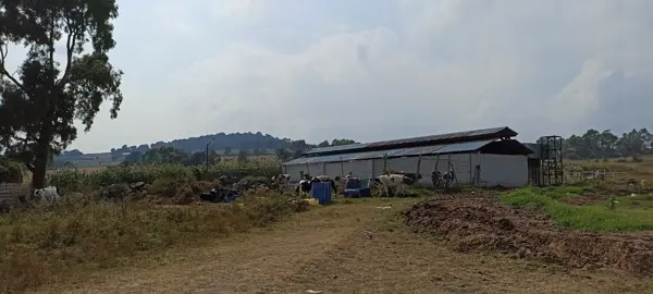 Terreno en venta en Fondo, Aculco — foto 3 de 26