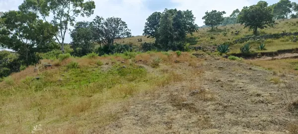 Terreno en venta en Fondo, Aculco — foto 2 de 26