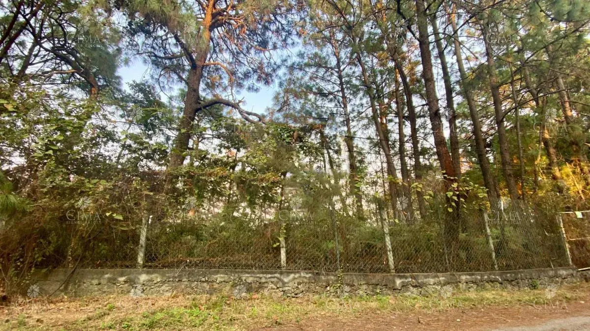 Terreno en venta en Del Bosque, Cuernavaca — foto 1 de 2