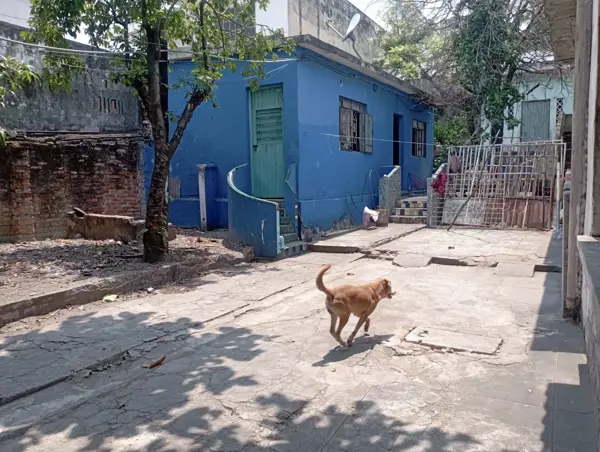 Terreno en venta en Pascual Ortiz Rubio, Veracruz — foto 2 de 11