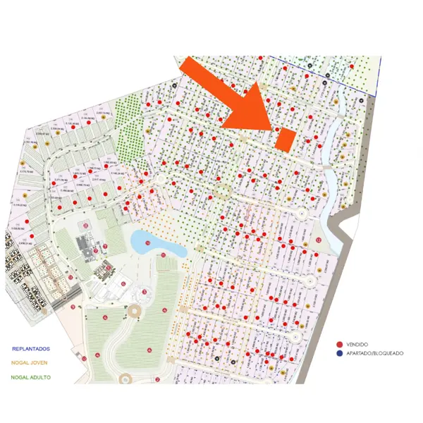 Terreno en venta en Parras, Parras — foto 3 de 6