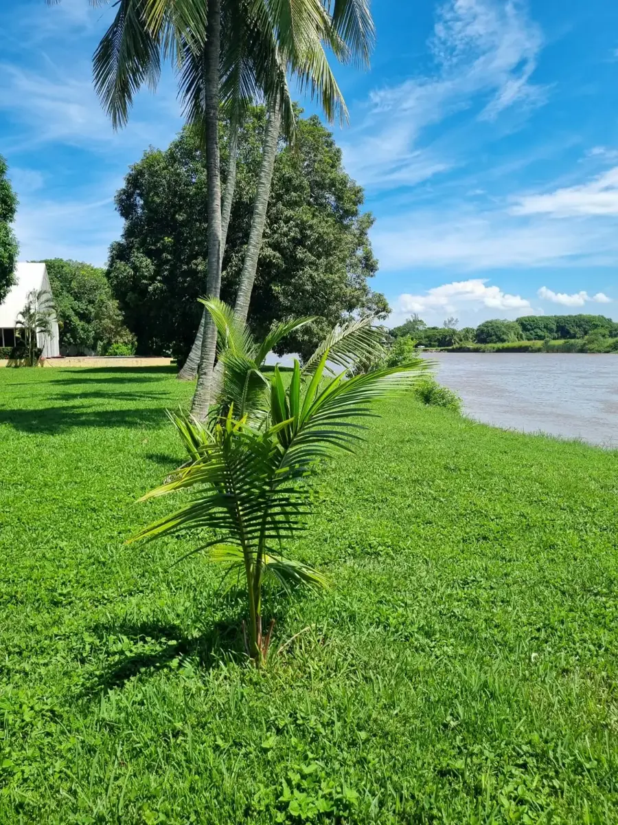 Terreno en venta en Playa de Vacas, Medellín de Bravo — foto 1 de 7