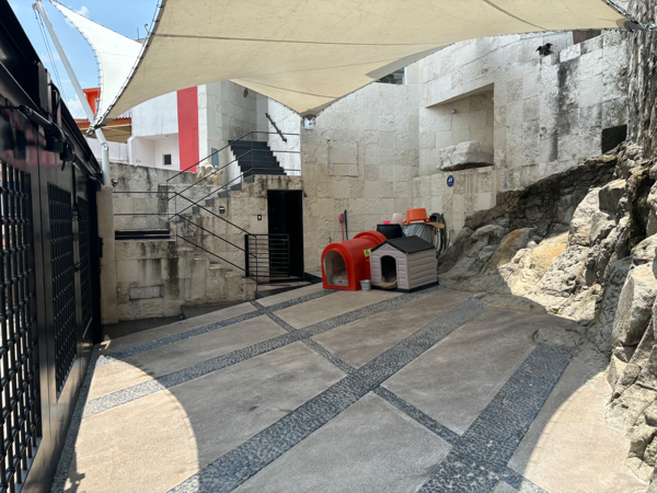 Casa en venta en Paseos del Bosque, Naucalpan de Juárez — foto 3 de 39