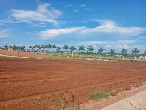 Terreno en venta en El Venadillo, Mazatlán — foto 2 de 12
