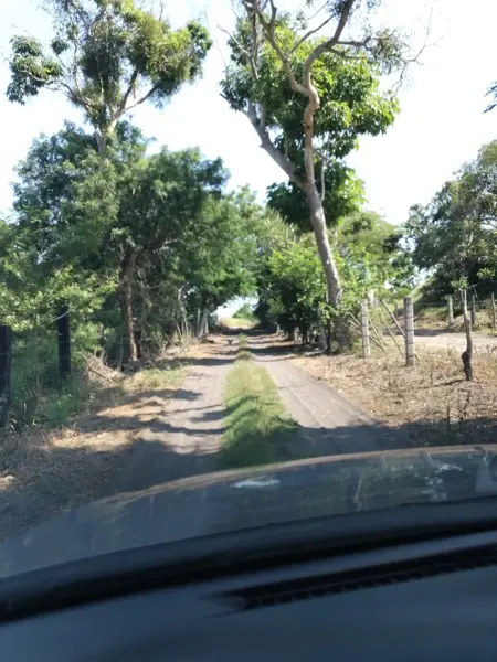 Terreno en venta en Ladislao Moreno, Tecomán — foto 2 de 16
