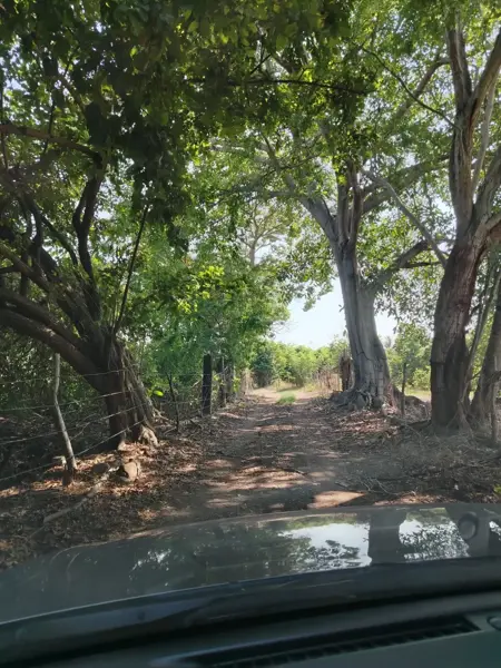 Terreno en venta en Ladislao Moreno, Tecomán, Colima Terreno en venta en Ladislao Moreno, Tecomán, Colima
