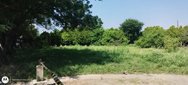 Terreno en venta en Los Sabinos, Cuautla — foto 2 de 9