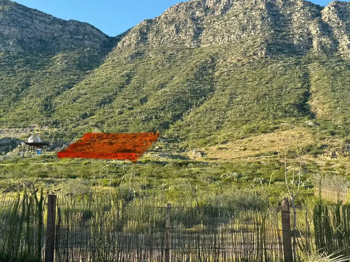 Terreno en Venta en Los Ángeles, Lerdo, Durango