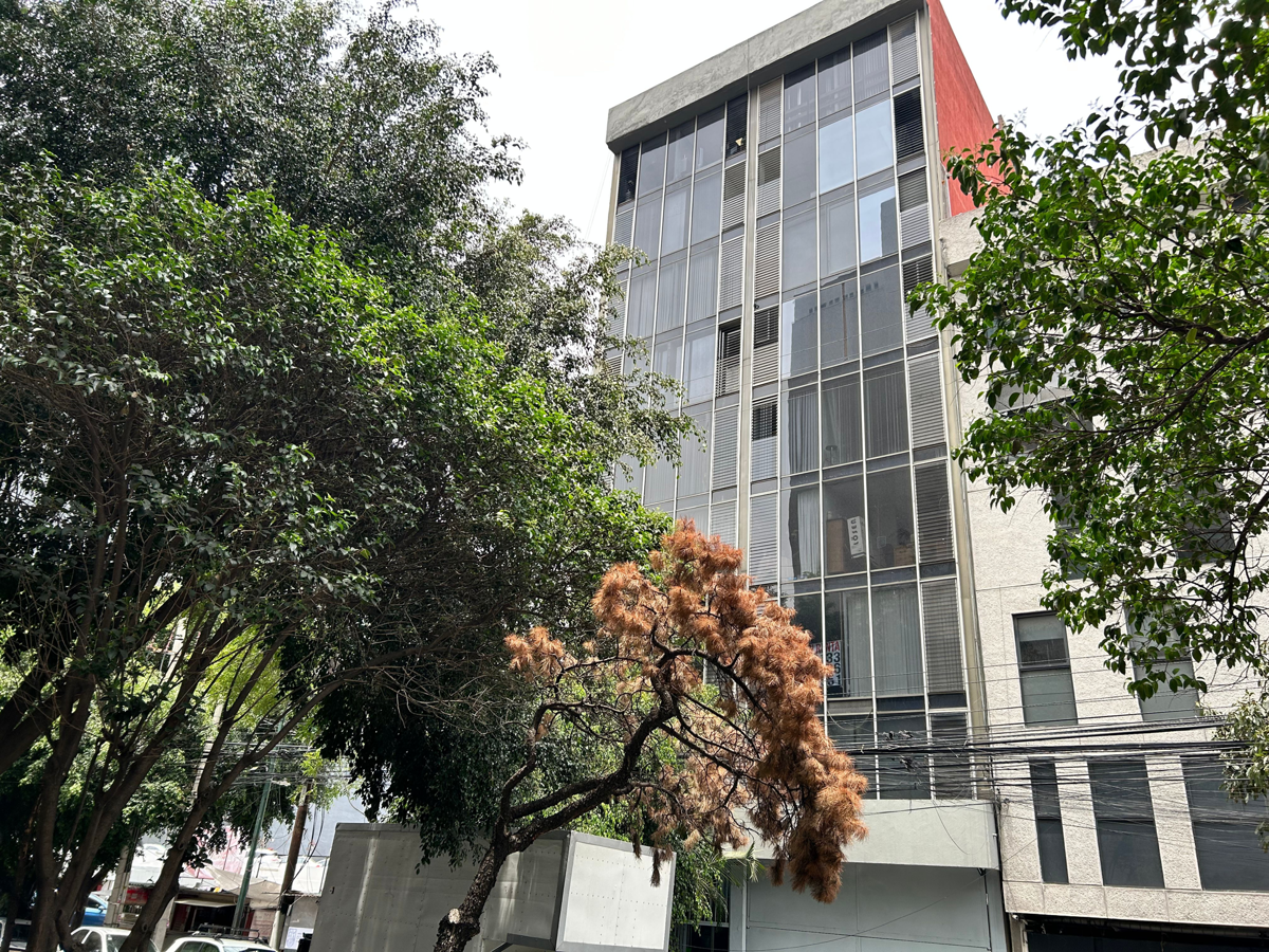Oficina en venta en Roma Sur, Cuauhtémoc — foto 1 de 12