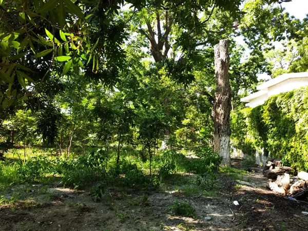 Terreno en venta en De La Loma, Parras — foto 3 de 8