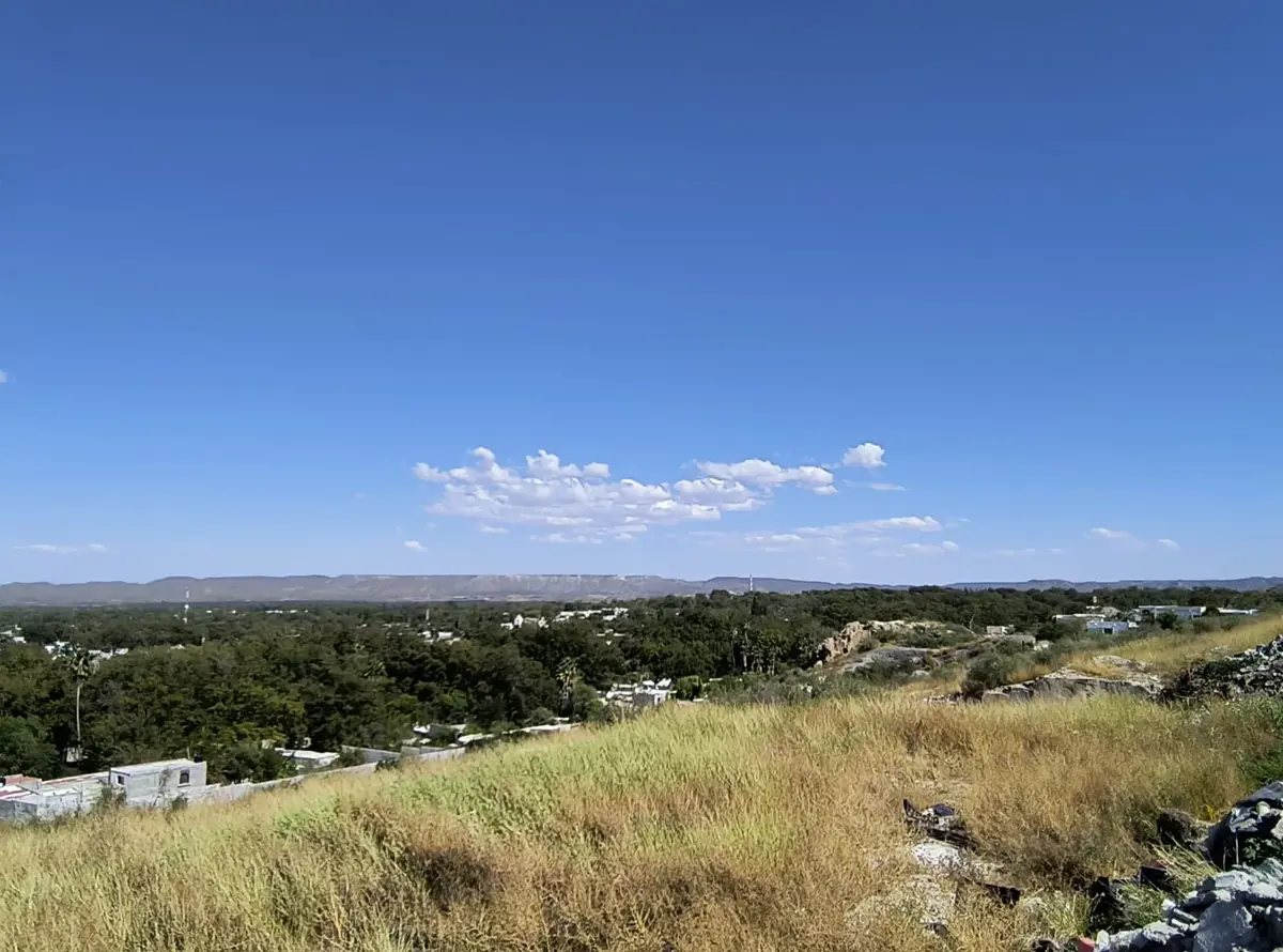 Terreno en venta en Las Palmeras, Parras — foto 1 de 8