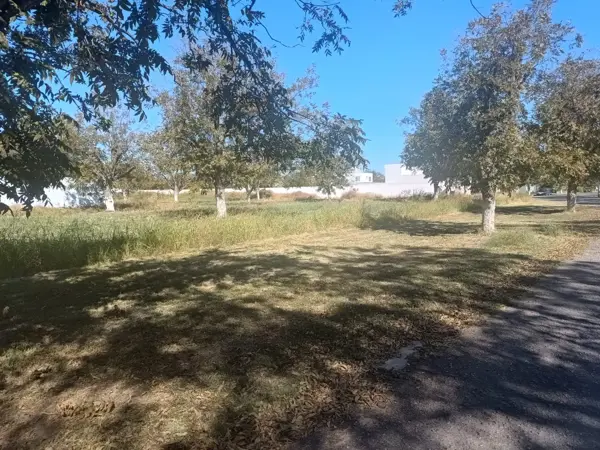 Terreno en venta en San Armando, Torreón — foto 2 de 12