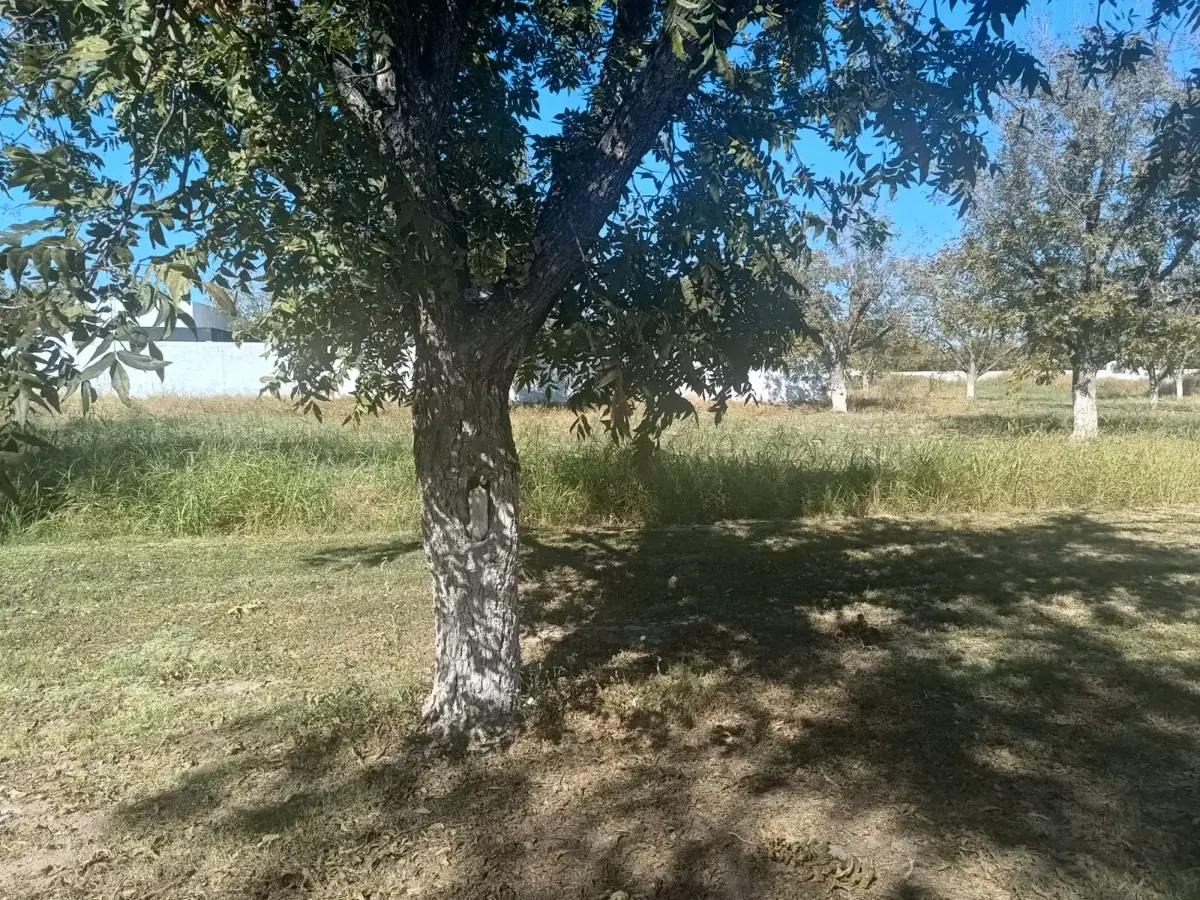 Terreno en Venta en San Armando, Torreón, Coahuila de Zaragoza