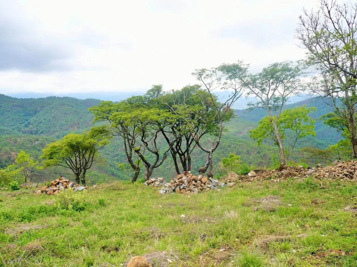 Terreno en venta en San Francisco, Temascaltepec — foto 1 de 21