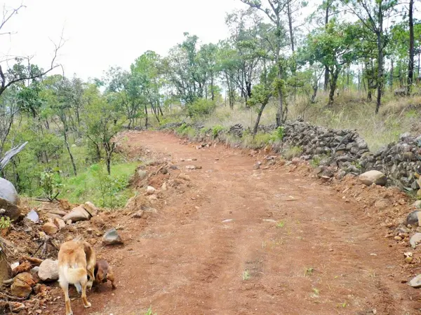 Terreno en venta en San Francisco, Temascaltepec — foto 3 de 21