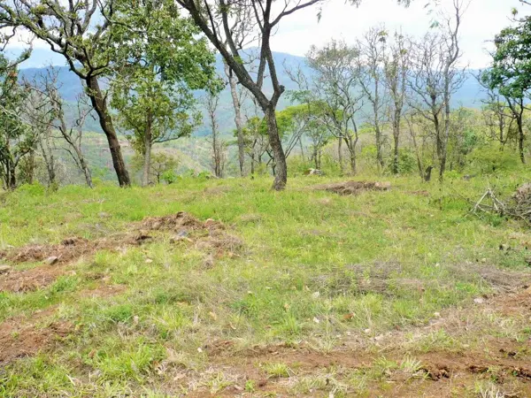 Terreno en venta en San Francisco, Temascaltepec — foto 2 de 21