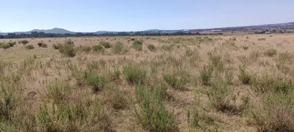 Terreno en venta en San Miguel Dehetí, Amealco de Bonfil — foto 3 de 9