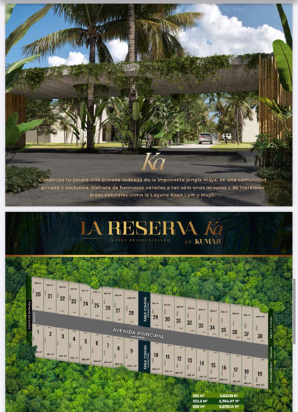 Terreno en venta en Ya Ax Tulum, Tulum — foto 2 de 5