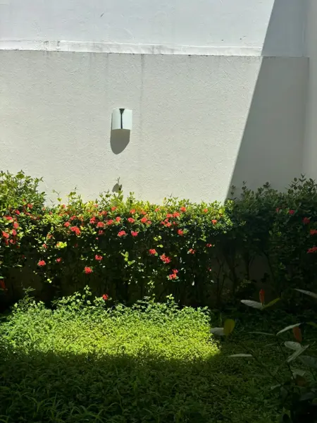 Casa en venta en Las Lomas Residencial, Alvarado — foto 3 de 11