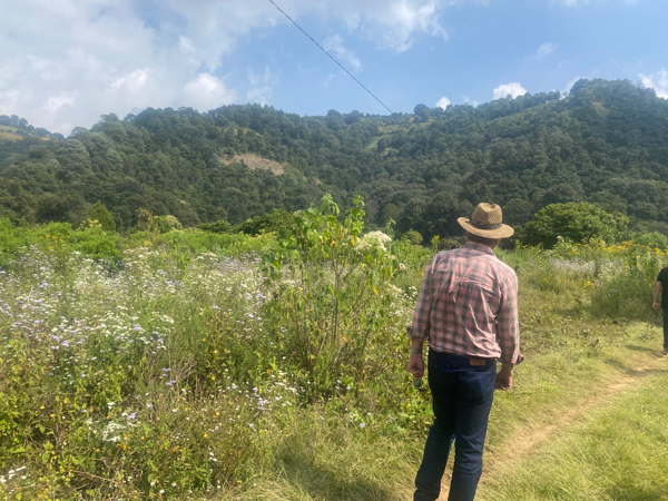 Terreno en venta en San Sebastián, Malinalco — foto 2 de 5