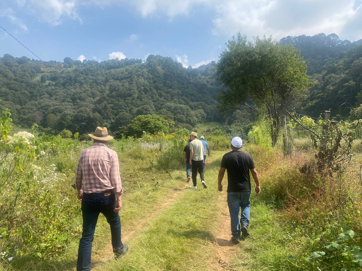Terreno en venta en San Sebastián, Malinalco — foto 1 de 5