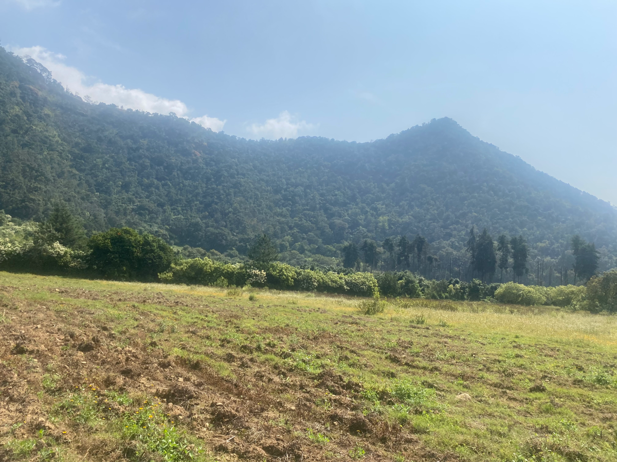 Terreno en venta en San Sebastián, Malinalco — foto 1 de 6