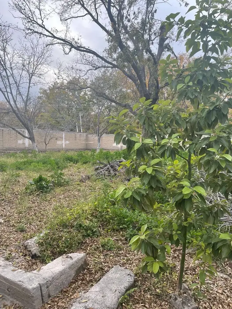 Terreno en venta en Parras de la Fuente Centro, Parras — foto 1 de 5