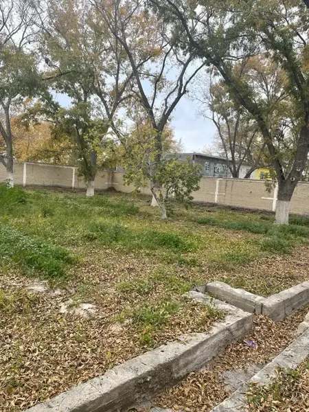 Terreno en venta en Parras de la Fuente Centro, Parras — foto 3 de 5