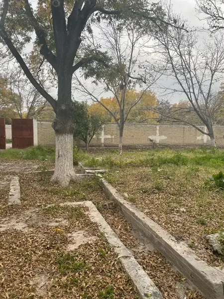 Terreno en venta en Parras de la Fuente Centro, Parras — foto 2 de 5
