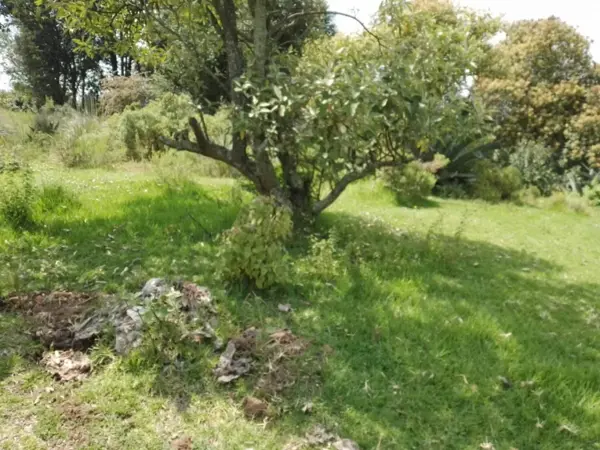 Terreno en venta en Los Barbechos, Villa del Carbón, México