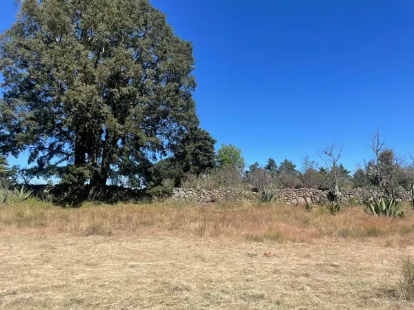 Terreno en venta en San Juan Dehedó, Amealco de Bonfil — foto 2 de 25