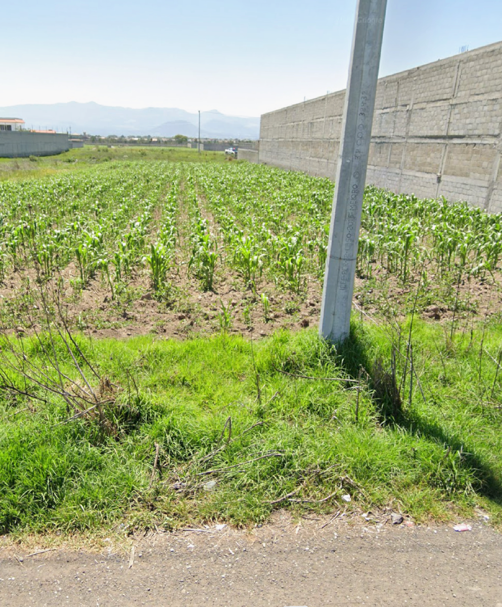 Terreno en venta en San Miguel Totocuitlapilco, Metepec — foto 1 de 2