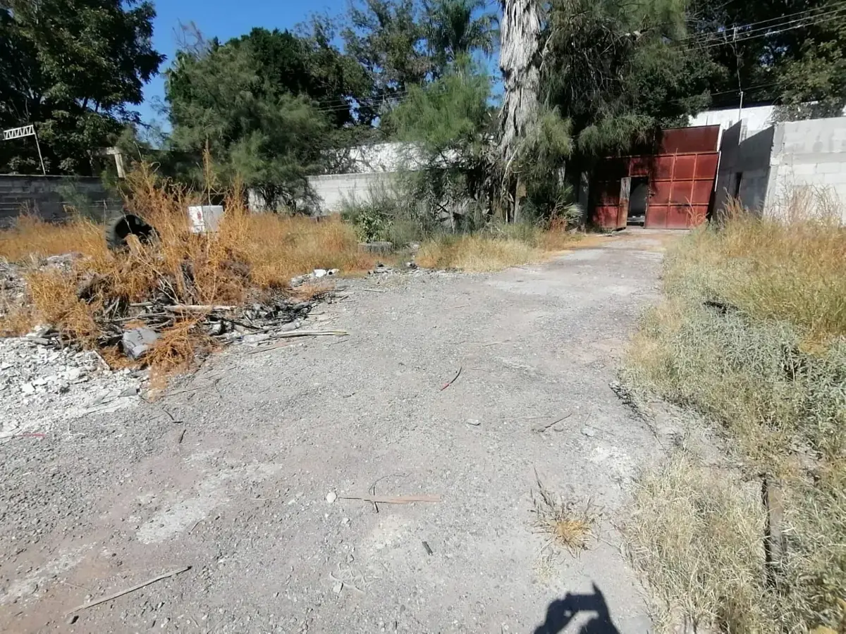Terreno en Venta en Nogales, Lerdo, Durango