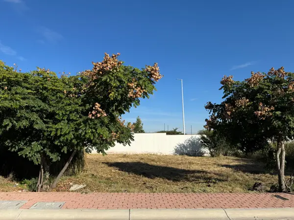 Terreno en venta en Ciudad Maderas, El Marqués — foto 2 de 11
