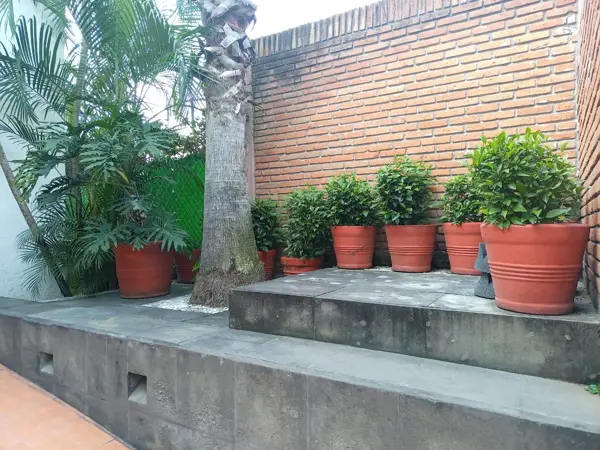 Casa en renta en Lomas de Cuernavaca, Temixco — foto 2 de 13