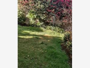 Casa en venta en San Juan, Benito Juárez — foto 2 de 5
