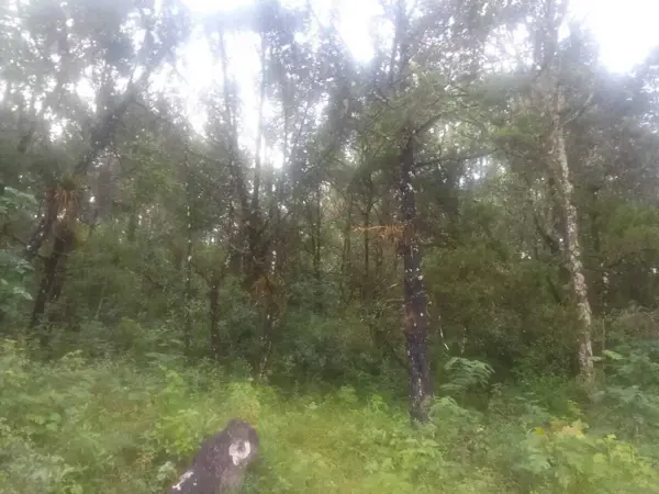 Terreno en venta en El Porvenir, Teopisca, Chiapas