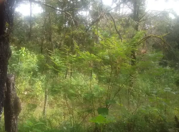 Terreno en venta en El Porvenir, Teopisca — foto 3 de 11