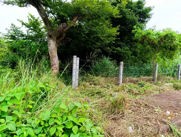 Terreno en venta en Paso Colorado, Boca del Río — foto 3 de 6