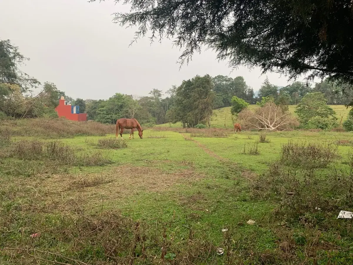 Terreno en venta en Xico, Xico — foto 1 de 5