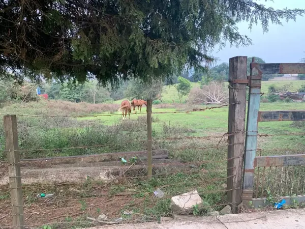 Terreno en venta en Xico, Xico — foto 3 de 5