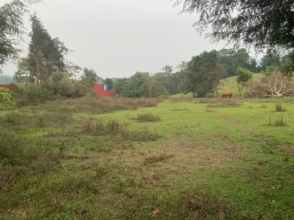 Terreno en venta en Xico, Xico — foto 2 de 5