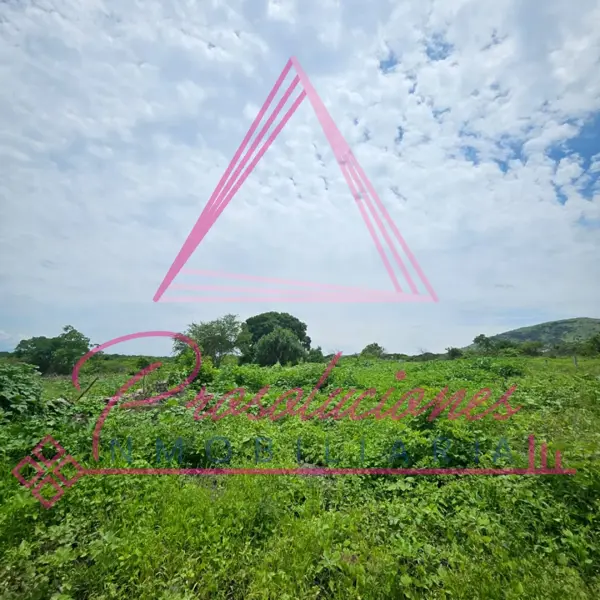 Terreno en venta en Emiliano Zapata, Tlaltizapán de Zapata — foto 3 de 5