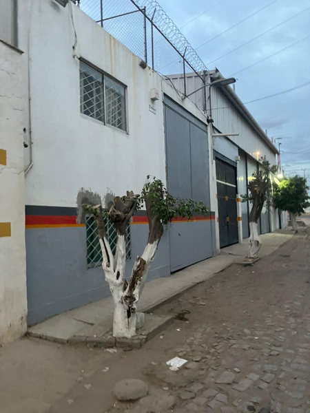 Bodega en renta en El Verde, El Salto — foto 2 de 5