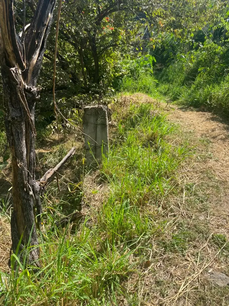 Terreno en venta en Alta Palmira, Temixco — foto 1 de 6