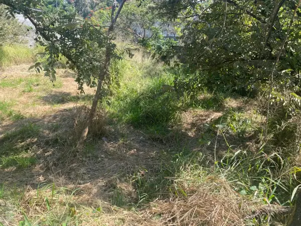 Terreno en venta en Alta Palmira, Temixco — foto 2 de 6